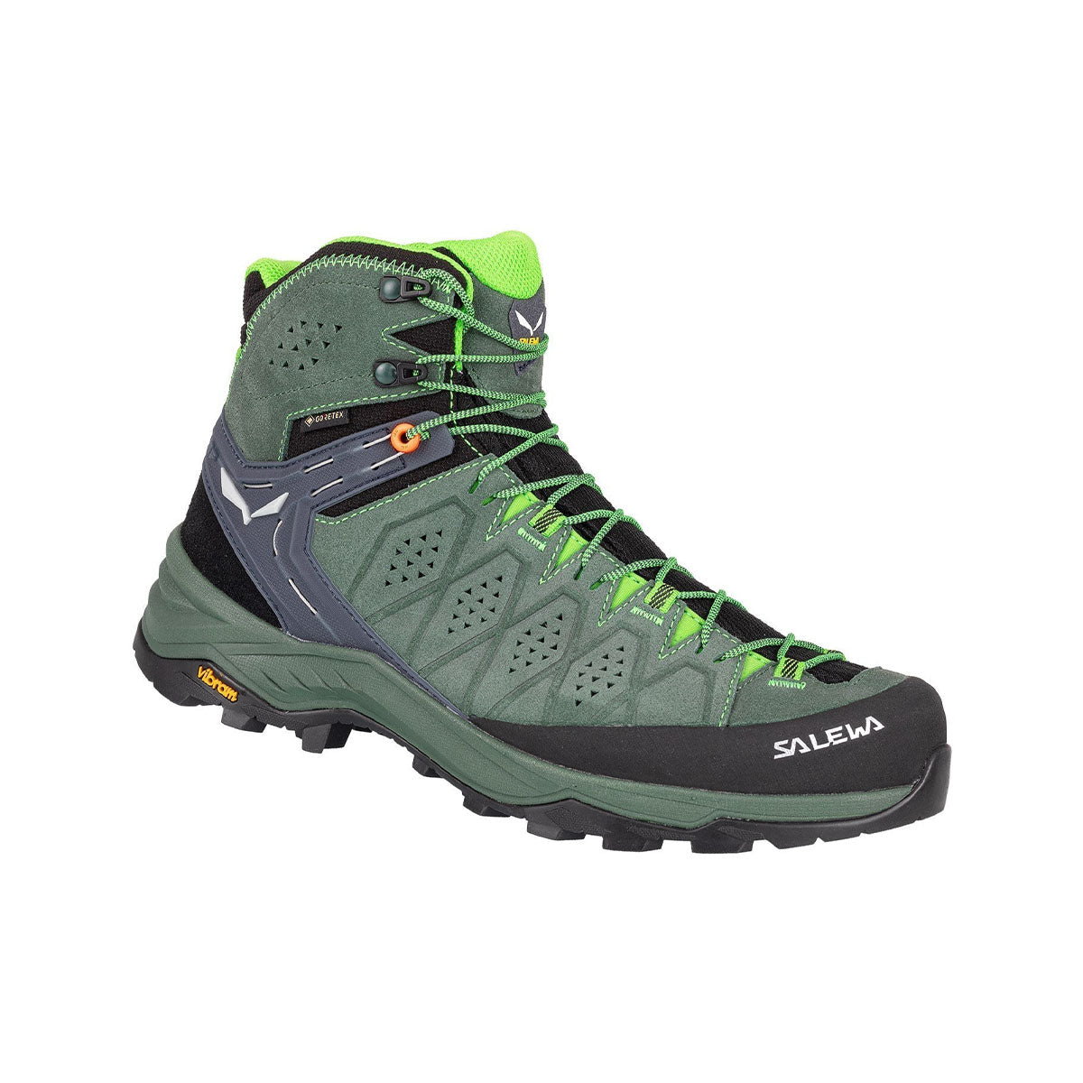 Men's Alp Trainer 2 Mid Gtx